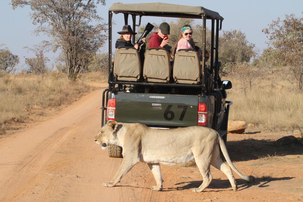 Inzalo Safari Lodge Welgevonden viltreservat Exteriör bild